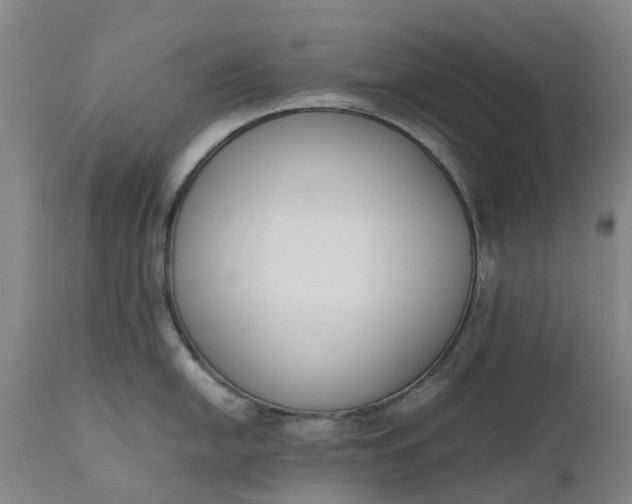 X0000111631054200907311222