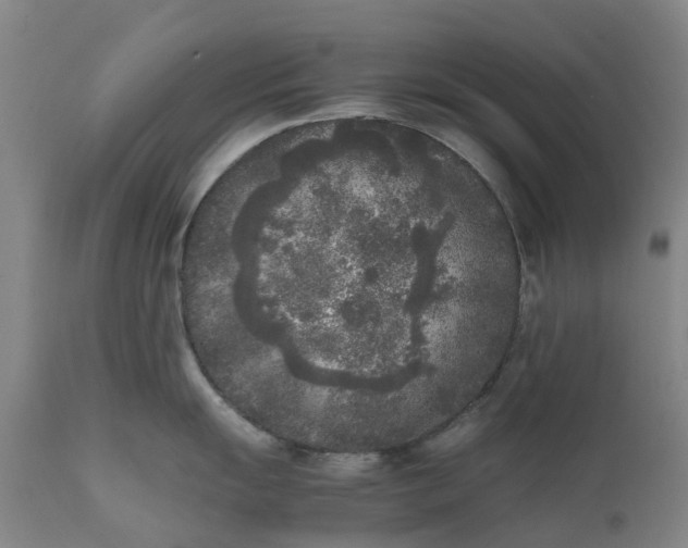 X0000111631055200907311222