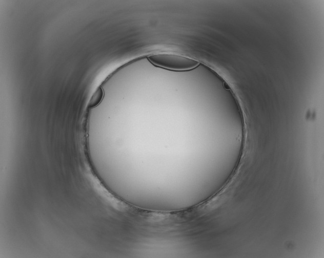 X0000111631056200907311222