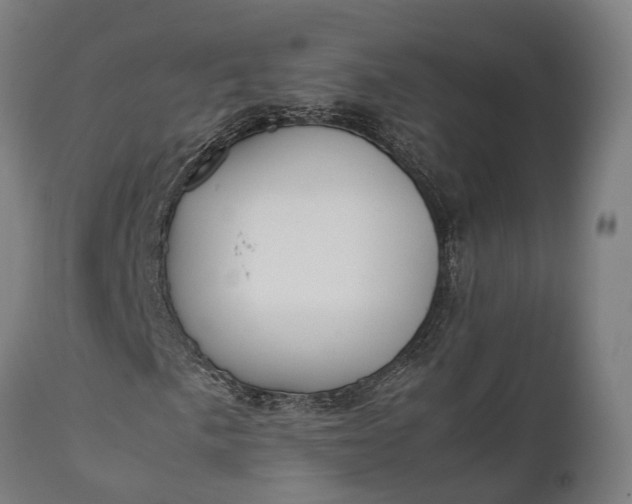 X0000111631057200907311221