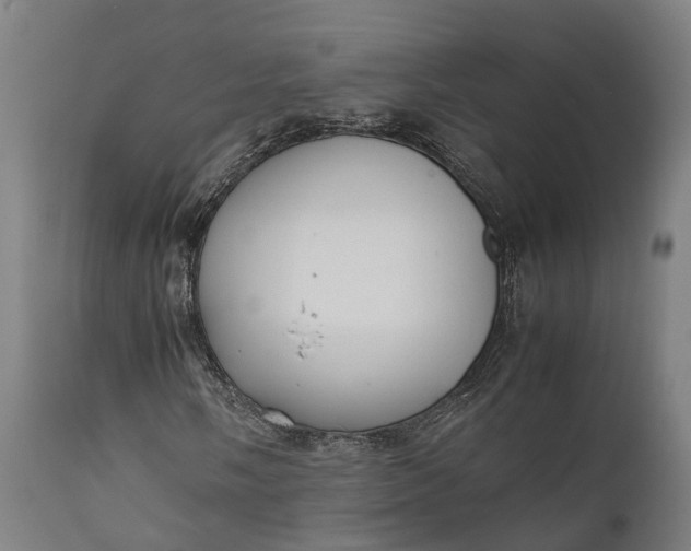 X0000111631058200907311221