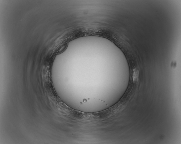 X0000111631059200907311221