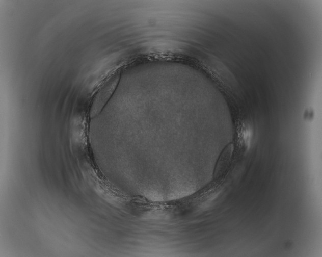 X0000111631060200907311221