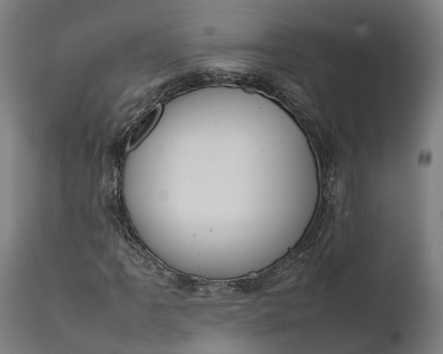 X0000111631061200907311221