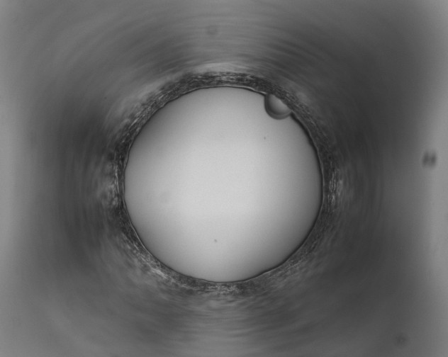 X0000111631062200907311221