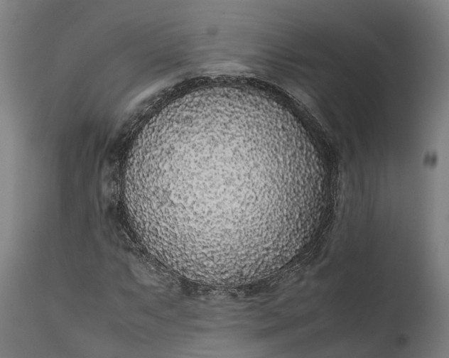 X0000111631063200907311221