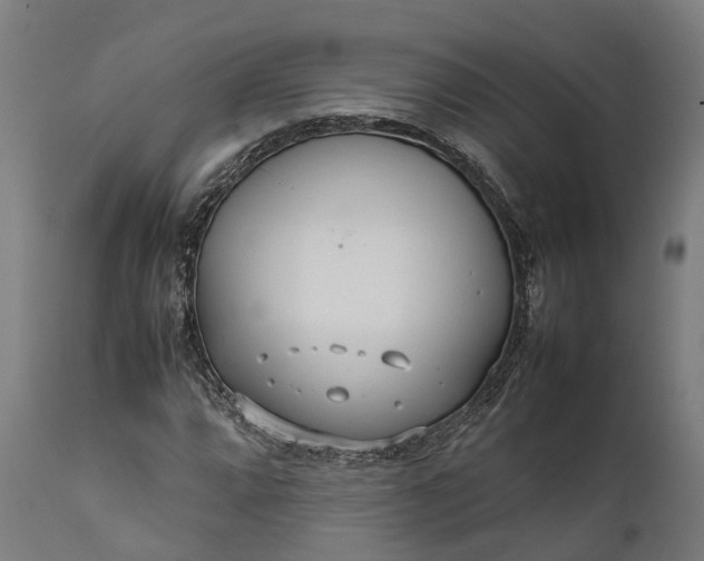 X0000111631064200907311221