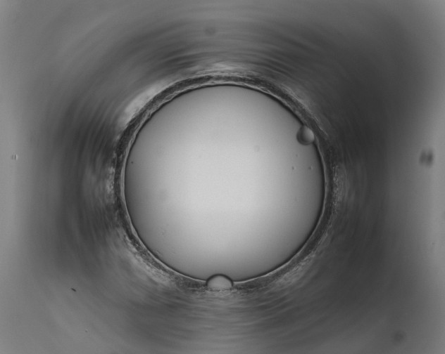 X0000111631066200907311221