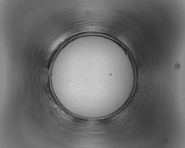 X0000111631067200907311221