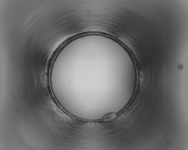 X0000111631068200907311221