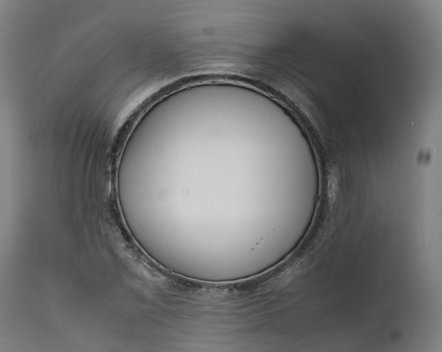 X0000111631069200907311221