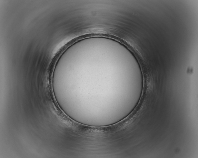 X0000111631070200907311221