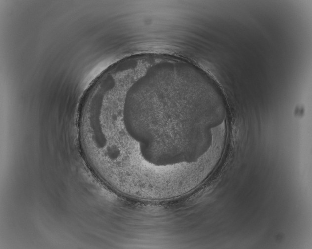 X0000111631071200907311221