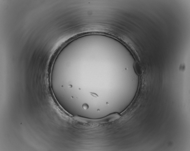 X0000111631072200907311221