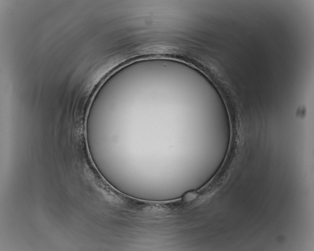 X0000111631073200907311221