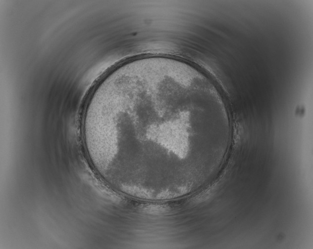 X0000111631074200907311221