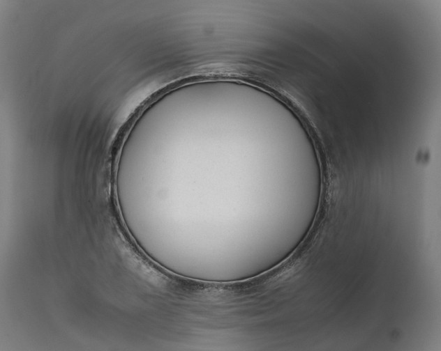 X0000111631075200907311221