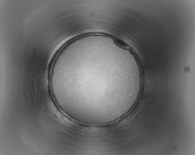 X0000111631076200907311221