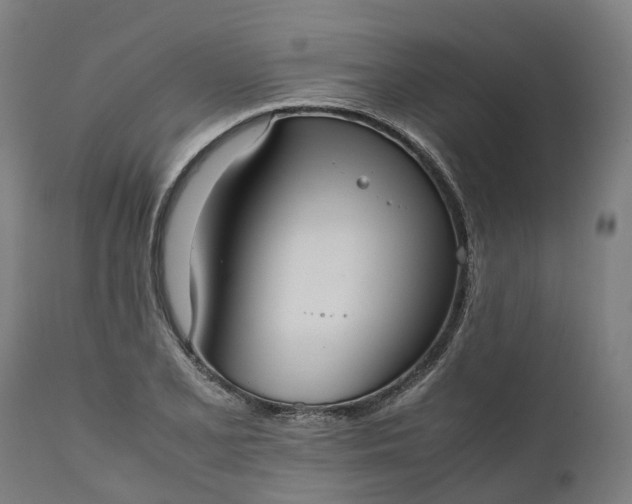 X0000111631077200907311221