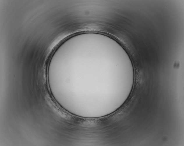 X0000111631078200907311221