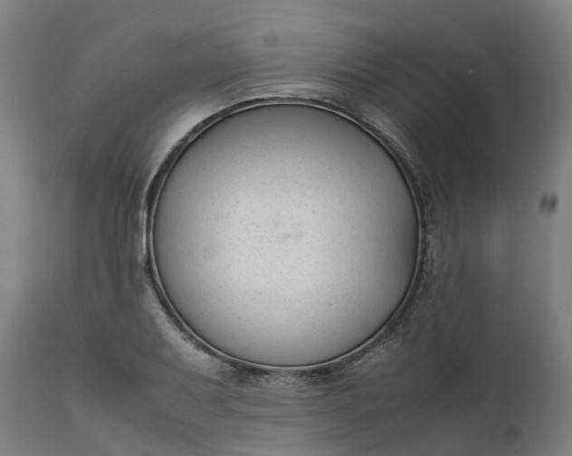 X0000111631079200907311221