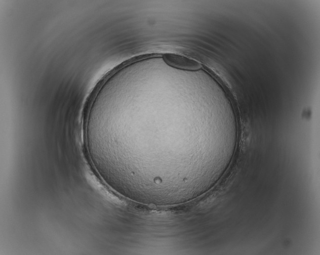 X0000111631080200907311221