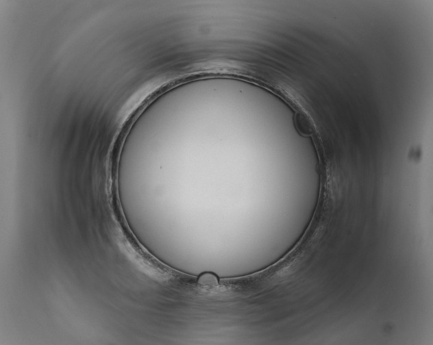 X0000111631082200907311221