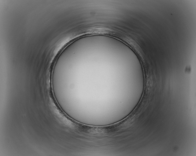 X0000111631083200907311221