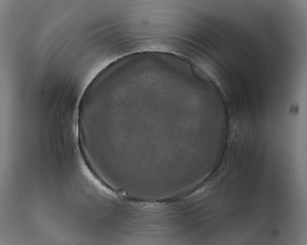 X0000111631084200907311221