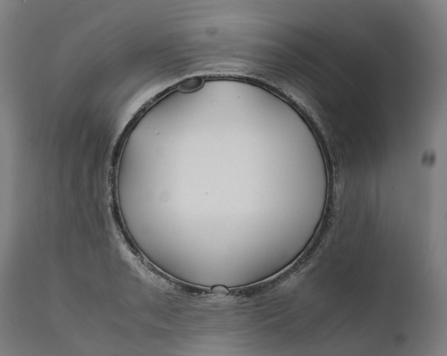 X0000111631085200907311221