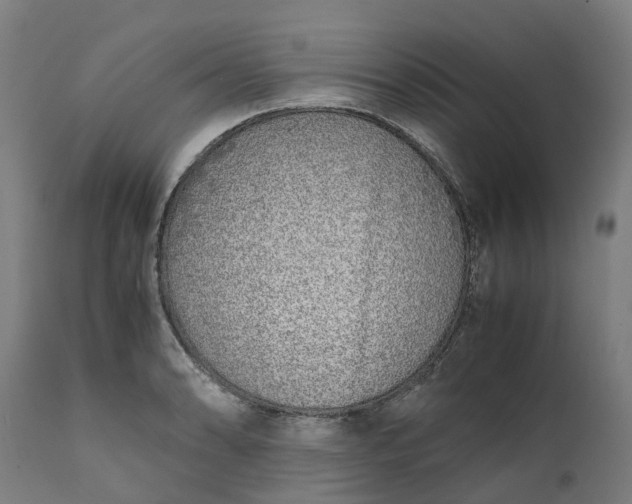 X0000111631086200907311221