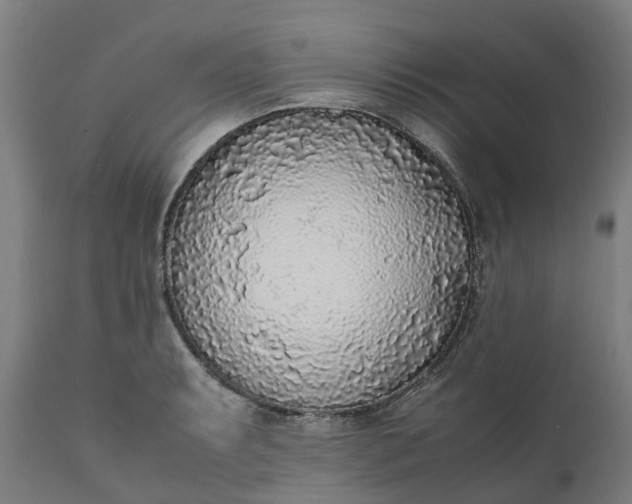 X0000111631087200907311221