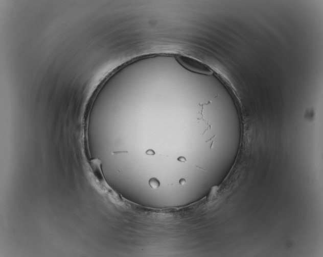 X0000111631088200907311221