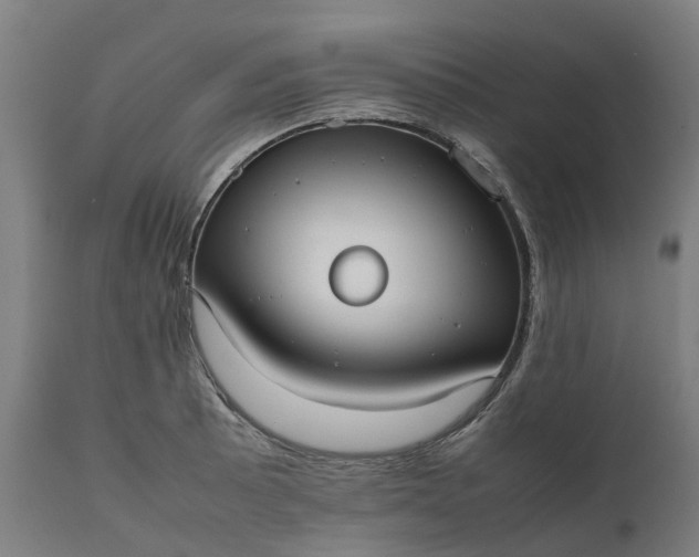 X0000111631089200907311221