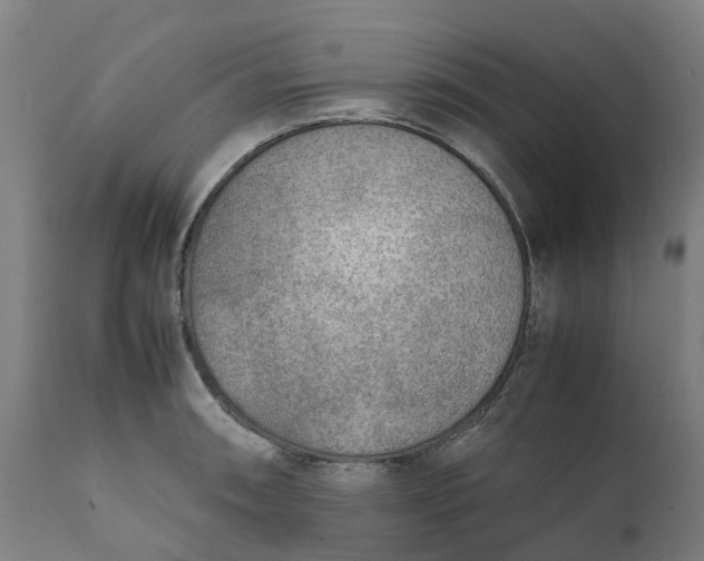 X0000111631090200907311221