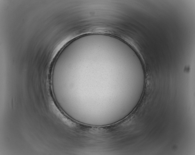 X0000111631091200907311221