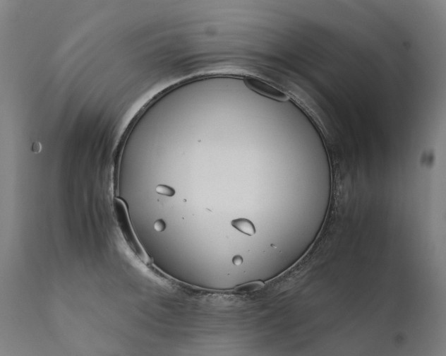 X0000111631092200907311221