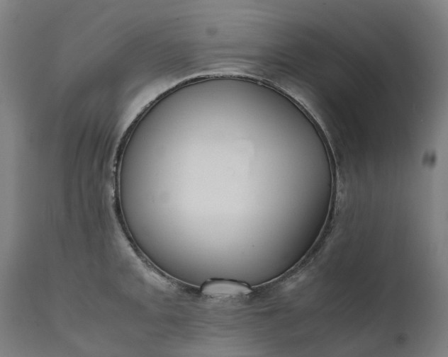 X0000111631093200907311221