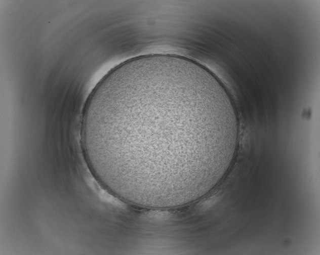 X0000111631094200907311221