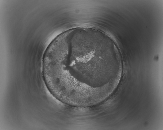 X0000111631095200907311221