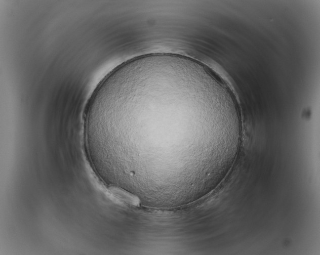 X0000111631096200907311221