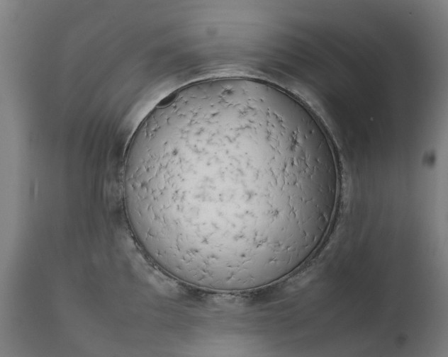 X0000111631097200907311221