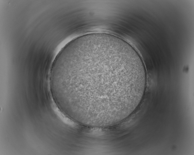 X0000111631098200907311221