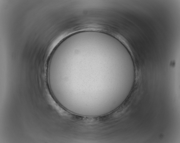 X0000111631099200907311221