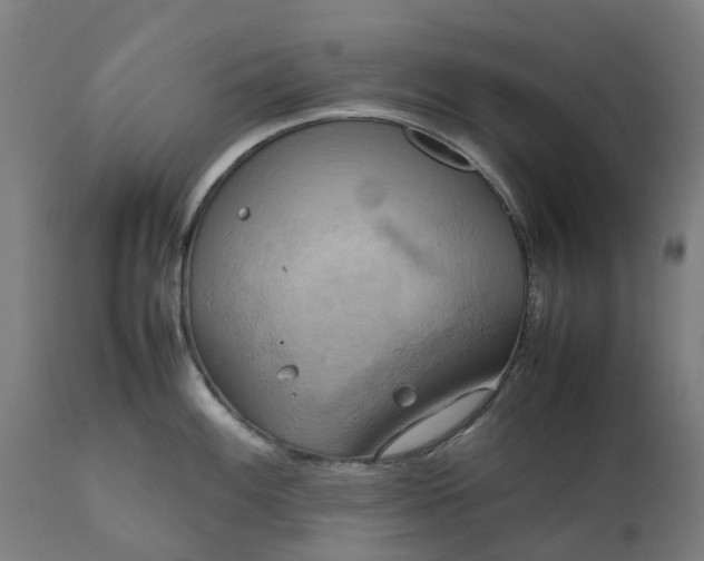 X0000111631100200907311221