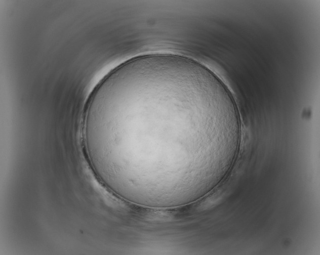 X0000111631101200907311221