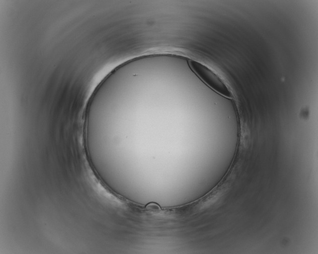 X0000111631102200907311221