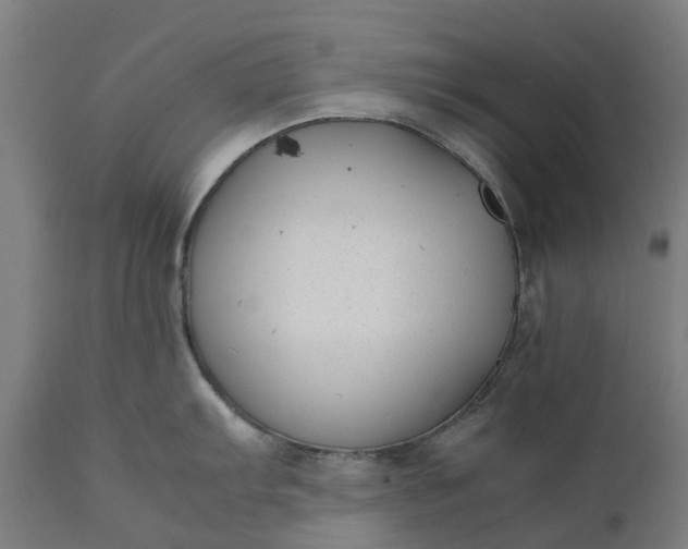 X0000111631103200907311221