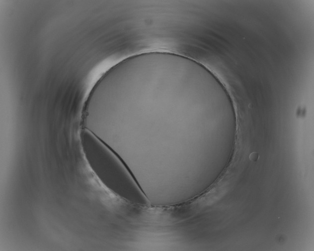 X0000111631104200907311221