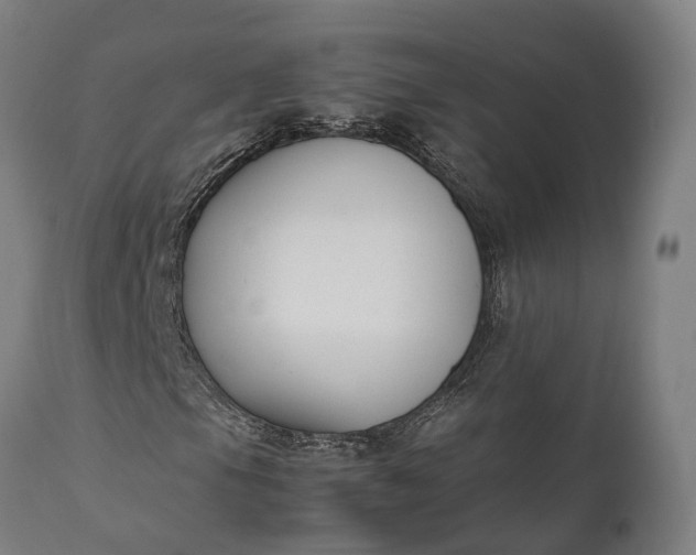 X0000111631105200907311220